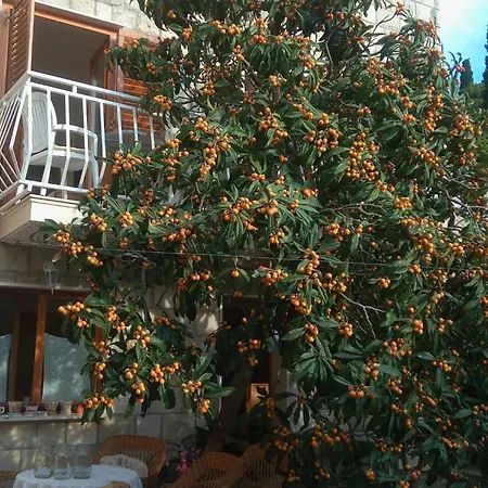 By The Sea Cavtat, Dubrovnik - 24545 Lejlighed