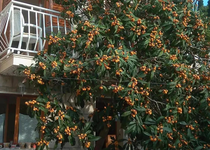 By The Sea Cavtat, Dubrovnik - 24545 Apartment